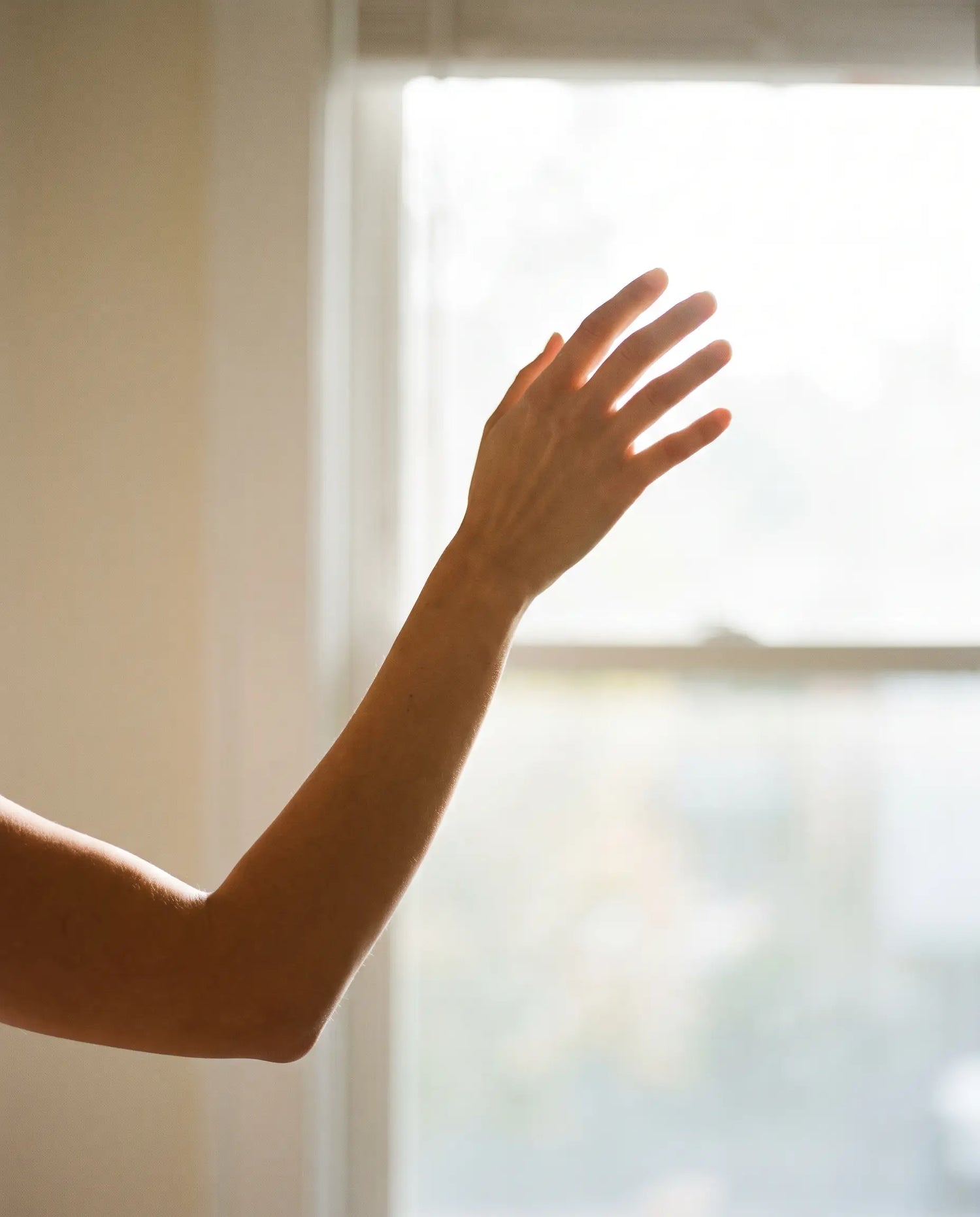 A bare hand raised toward bright window light